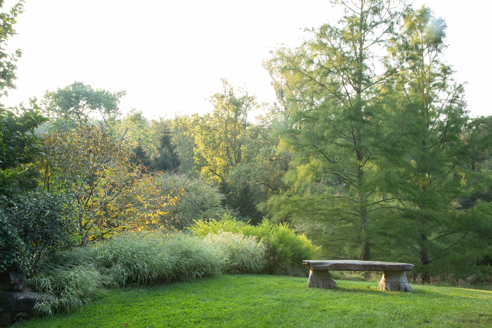 Narrative Identity and Other Gatherings
